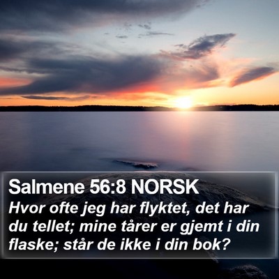 Salmene 56:8 NORSK Bible Verse Image
