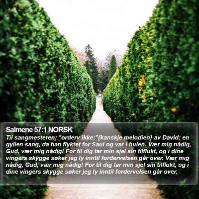Salmene 57:1 NORSK Bible Verse Image