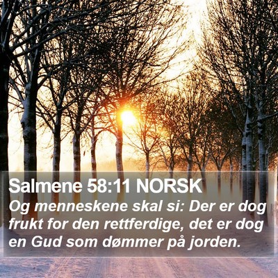 Salmene 58:11 NORSK Bible Verse Image