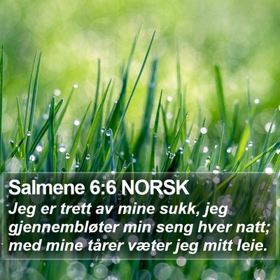 Salmene 6:6 NORSK Bible Verse Image