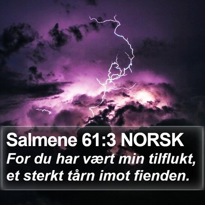 Salmene 61:3 NORSK Bible Verse Image