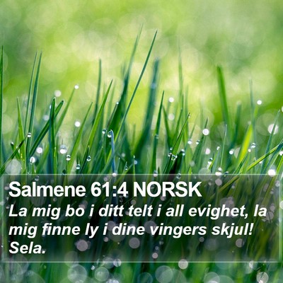 Salmene 61:4 NORSK Bible Verse Image