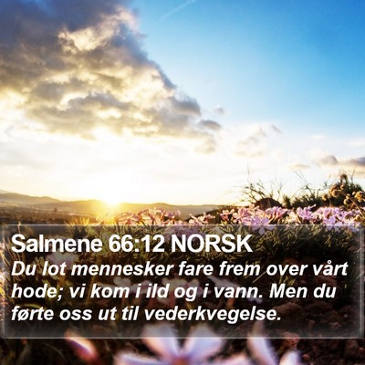 Salmene 66:12 NORSK Bible Verse Image