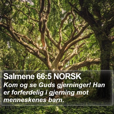 Salmene 66:5 NORSK Bible Verse Image