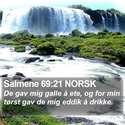 Salmene 69:21 NORSK Bible Verse Image