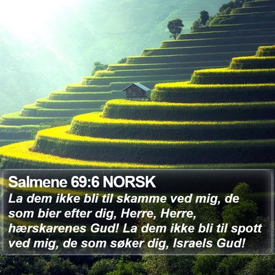 Salmene 69:6 NORSK Bible Verse Image