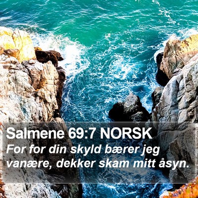 Salmene 69:7 NORSK Bible Verse Image
