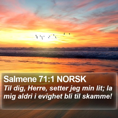Salmene 71:1 NORSK Bible Verse Image
