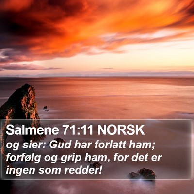 Salmene 71:11 NORSK Bible Verse Image