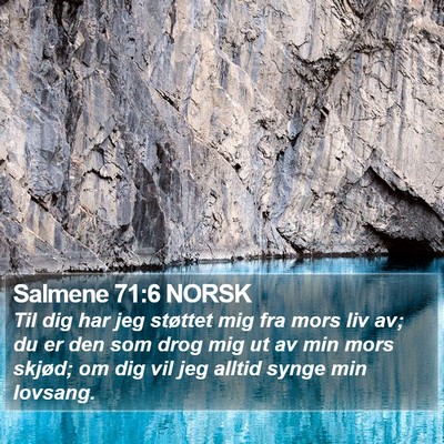 Salmene 71:6 NORSK Bible Verse Image