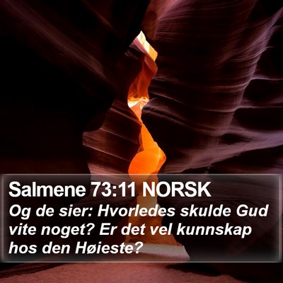 Salmene 73:11 NORSK Bible Verse Image