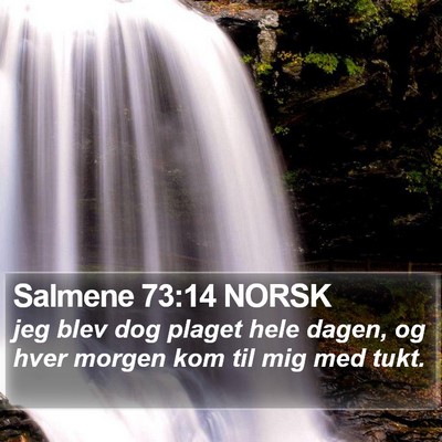 Salmene 73:14 NORSK Bible Verse Image