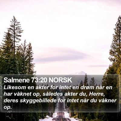 Salmene 73:20 NORSK Bible Verse Image