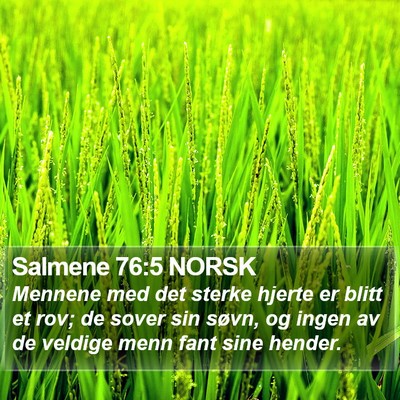 Salmene 76:5 NORSK Bible Verse Image