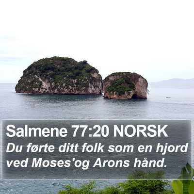 Salmene 77:20 NORSK Bible Verse Image