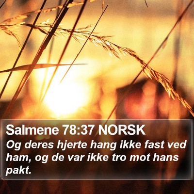Salmene 78:37 NORSK Bible Verse Image