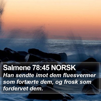 Salmene 78:45 NORSK Bible Verse Image