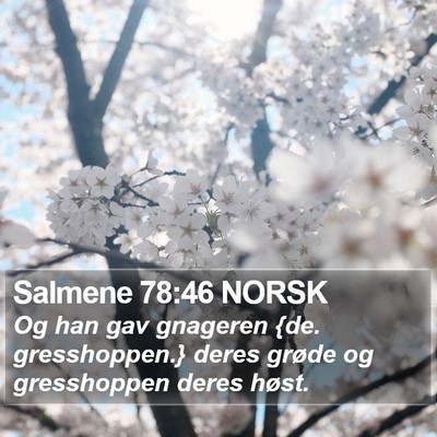 Salmene 78:46 NORSK Bible Verse Image