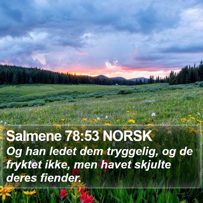 Salmene 78:53 NORSK Bible Verse Image