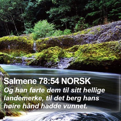 Salmene 78:54 NORSK Bible Verse Image