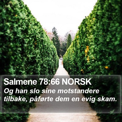 Salmene 78:66 NORSK Bible Verse Image