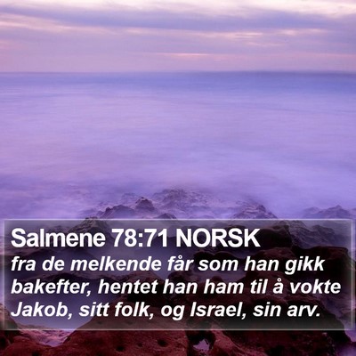 Salmene 78:71 NORSK Bible Verse Image