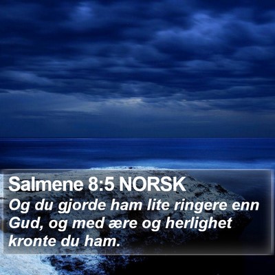 Salmene 8:5 NORSK Bible Verse Image