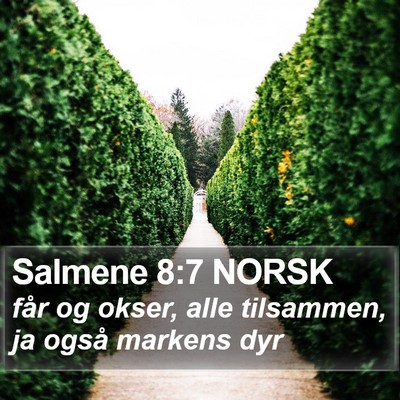 Salmene 8:7 NORSK Bible Verse Image