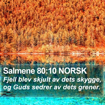 Salmene 80:10 NORSK Bible Verse Image