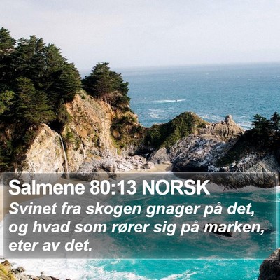 Salmene 80:13 NORSK Bible Verse Image