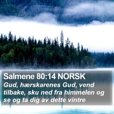 Salmene 80:14 NORSK Bible Verse Image