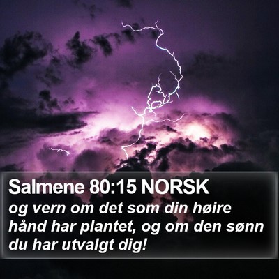 Salmene 80:15 NORSK Bible Verse Image