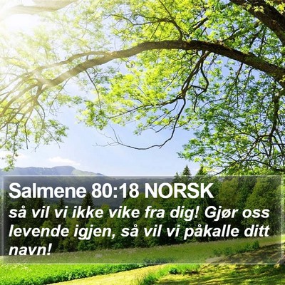 Salmene 80:18 NORSK Bible Verse Image