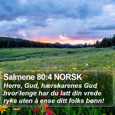 Salmene 80:4 NORSK Bible Verse Image
