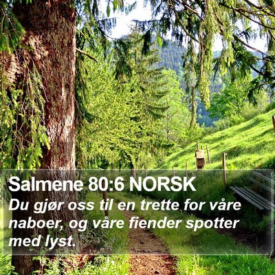 Salmene 80:6 NORSK Bible Verse Image