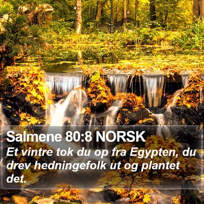 Salmene 80:8 NORSK Bible Verse Image