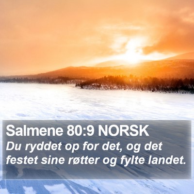 Salmene 80:9 NORSK Bible Verse Image