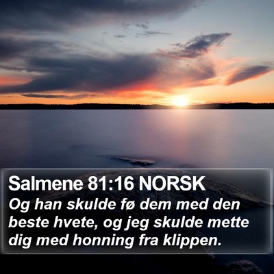 Salmene 81:16 NORSK Bible Verse Image