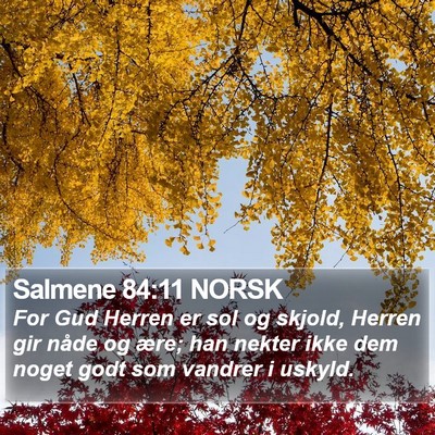 Salmene 84:11 NORSK Bible Verse Image