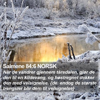 Salmene 84:6 NORSK Bible Verse Image