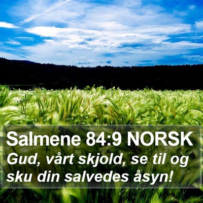 Salmene 84:9 NORSK Bible Verse Image