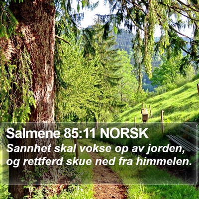 Salmene 85:11 NORSK Bible Verse Image