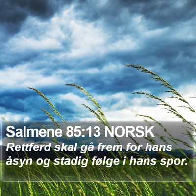 Salmene 85:13 NORSK Bible Verse Image
