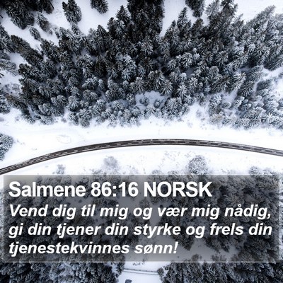 Salmene 86:16 NORSK Bible Verse Image