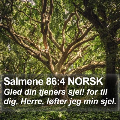 Salmene 86:4 NORSK Bible Verse Image