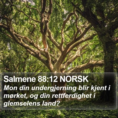 Salmene 88:12 NORSK Bible Verse Image