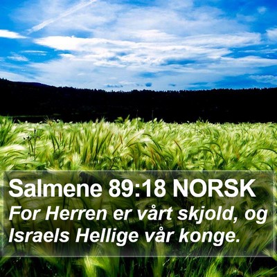 Salmene 89:18 NORSK Bible Verse Image