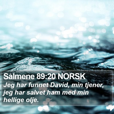 Salmene 89:20 NORSK Bible Verse Image