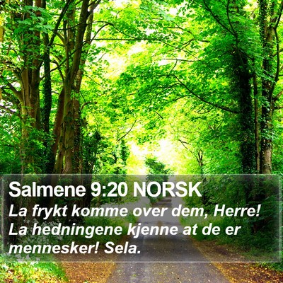Salmene 9:20 NORSK Bible Verse Image