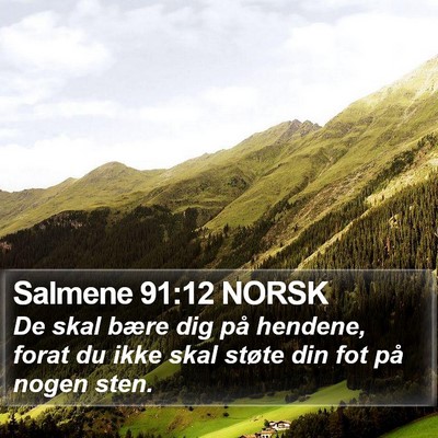 Salmene 91:12 NORSK Bible Verse Image